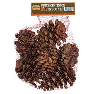 Pumpkin Spice Pine Cones